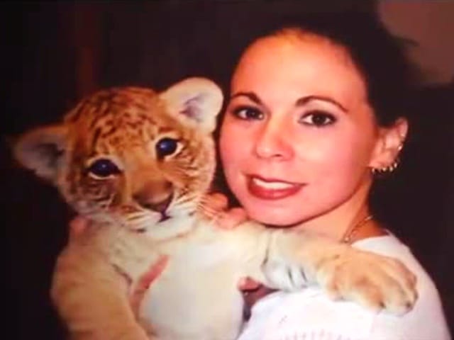 Liger cub with Rajani Ferrante who is a famous liger cub trainer.